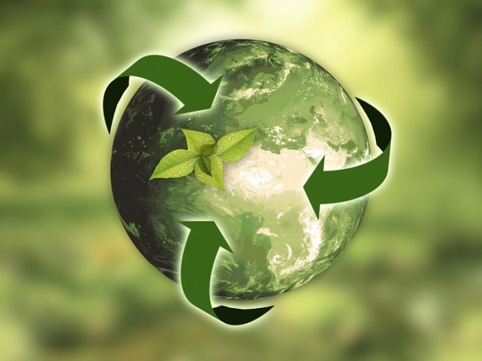 10 ways to offset carbon footprint