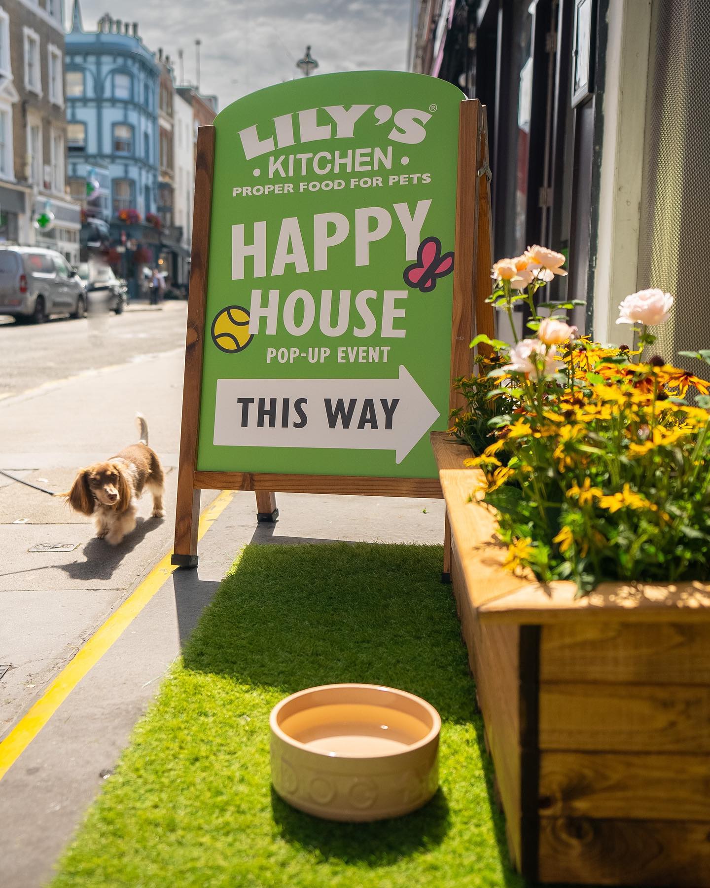 Lily's Kitchen Happy Place Pop Up Shop by Three Point Design