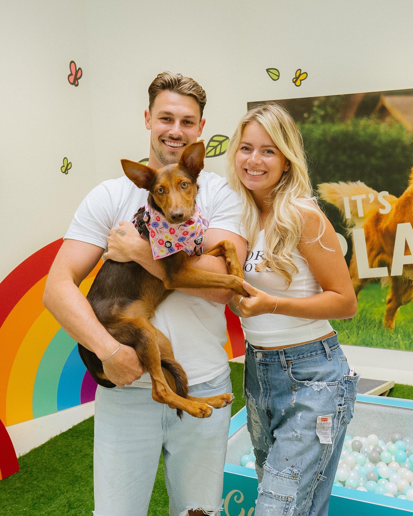 Lily's Kitchen Happy Place Pop Up Shop by Three Point Design