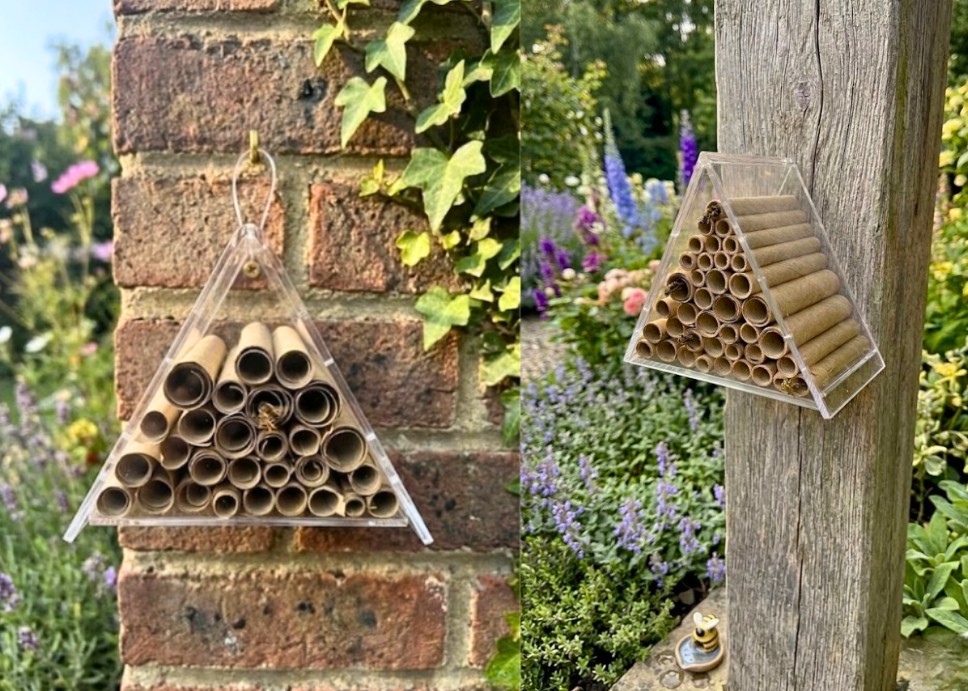 Bee house by Three Point